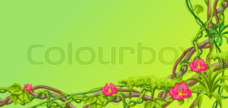 800x381 Twisted Wild Lianas Branches Stock Vector Colourbox