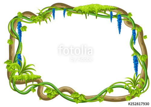 500x354 Twisted Wild Lianas Branches Frame Jungle Vines Plants Stock