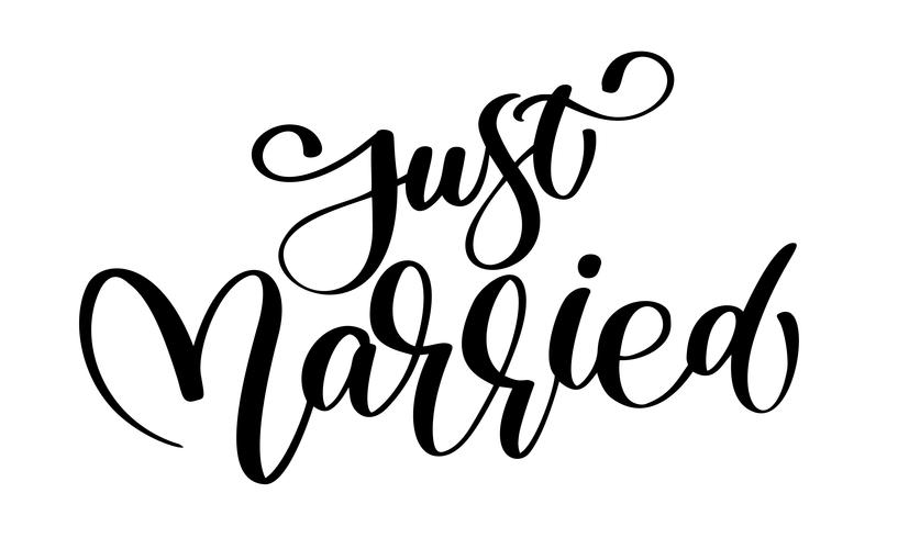 817x490 Just Married Vector Text On White Background Calligraphy Wedding