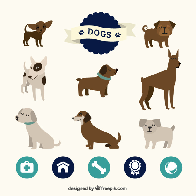 626x626 Dog Vectors Free Vector Graphics Everypixel