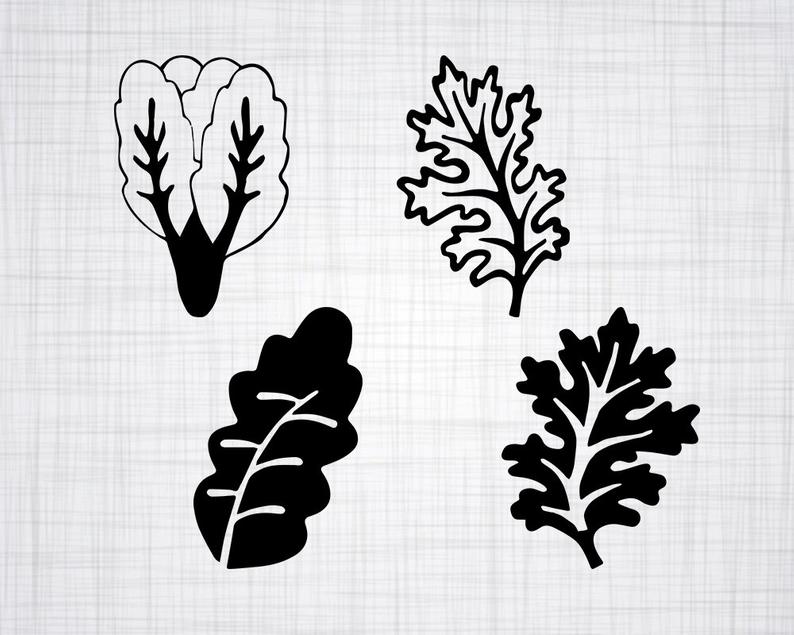 794x635 Kale Bundle Kale Kale Clipart Kale For Etsy