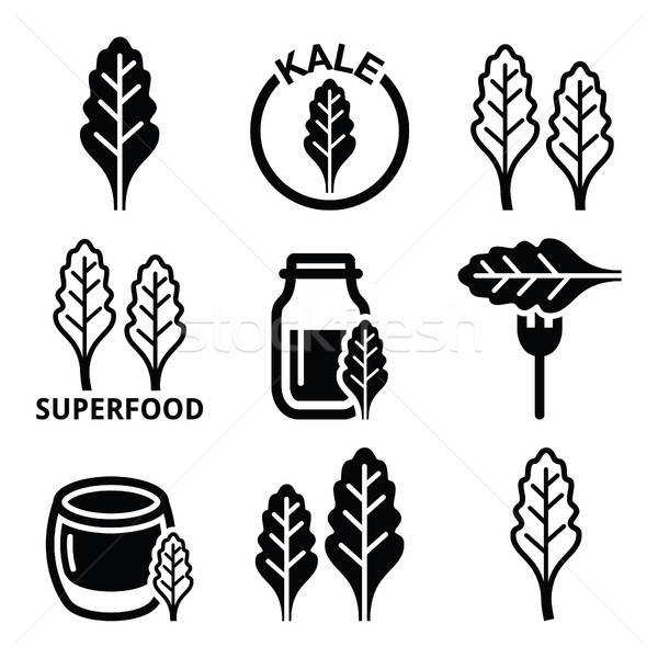 600x600 Kale Stock Vectors, Illustrations And Cliparts Stockfresh
