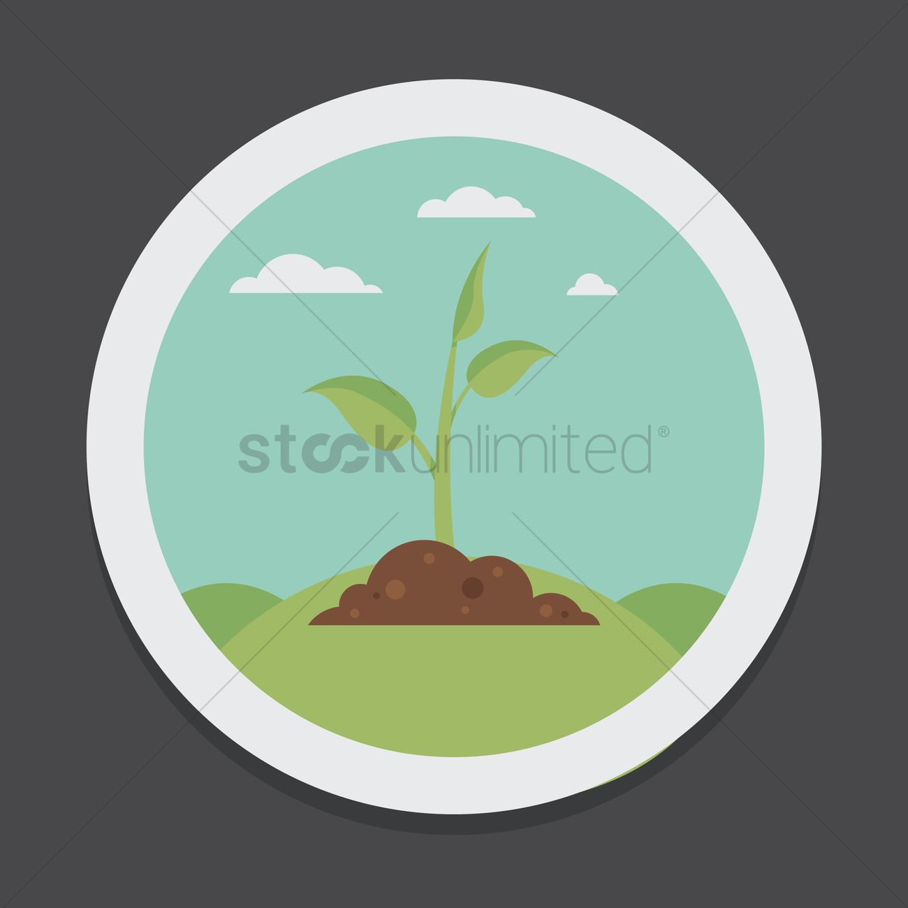 1300x1300 Kale Vector Image
