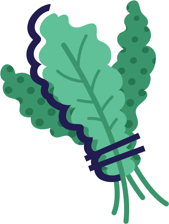 556x737 Kale Vector Vegetable Leaf