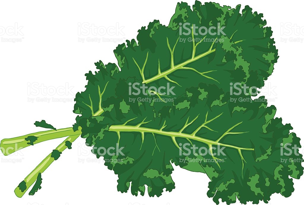 1024x691 Kale Clipart Free Cliparts Download Images On Clipground