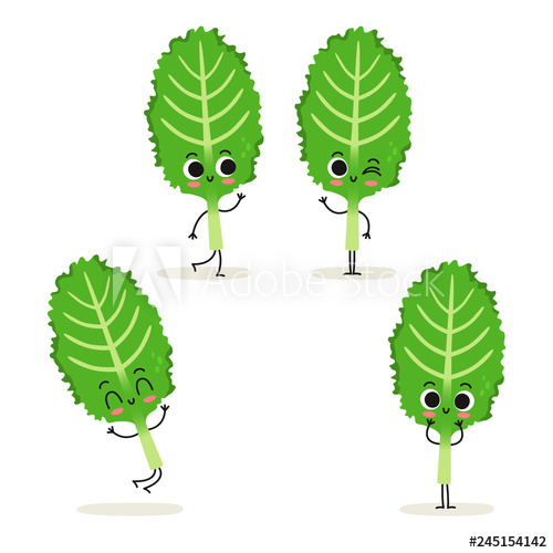 500x500 Kale Cute Cartoon Vegan Protein Food Vector Character Set