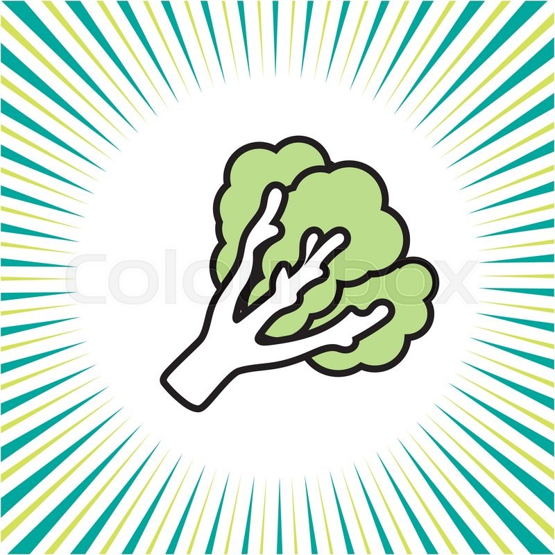 800x800 Vegetable Kalevector Icon Stock Vector Colourbox