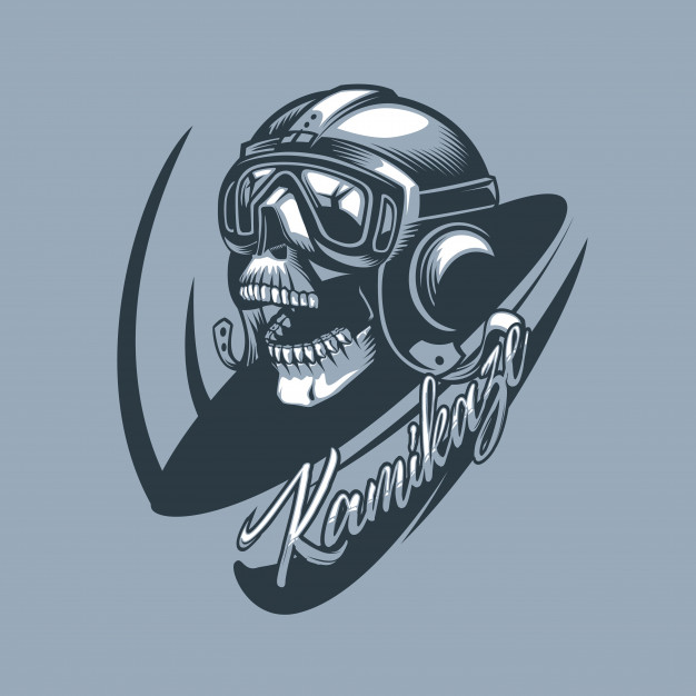Kamikaze Skull In The Aircraft Cabin Vector Premium Download 626x626 Kamikaze Skull In The Aircraft Cabin Vector Premium Download