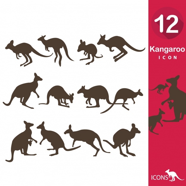 626x626 Kangaroo Vectors, Photos And Free Download