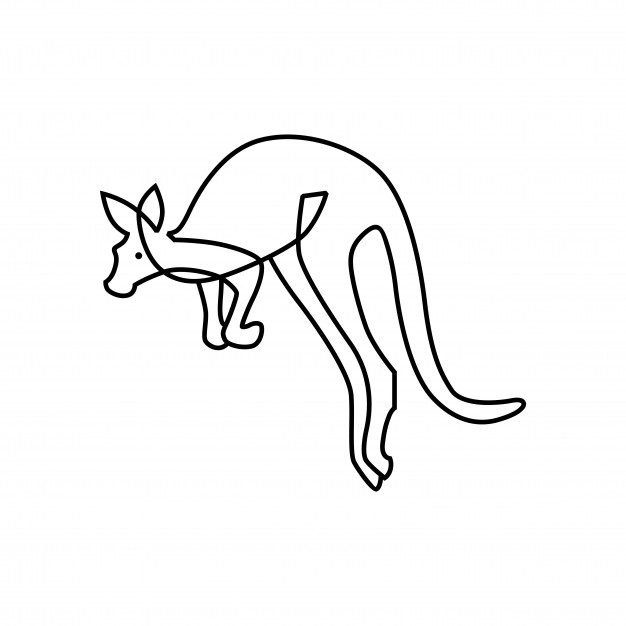 626x626 Kangaroo Logo Vector Icon Illustration Line Outline Monoline