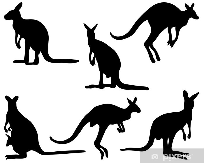 Kangaroo Silhouette Vector