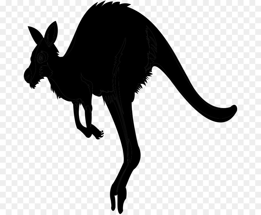 900x740 Kangaroo Silhouette Flat Design Macropodidae