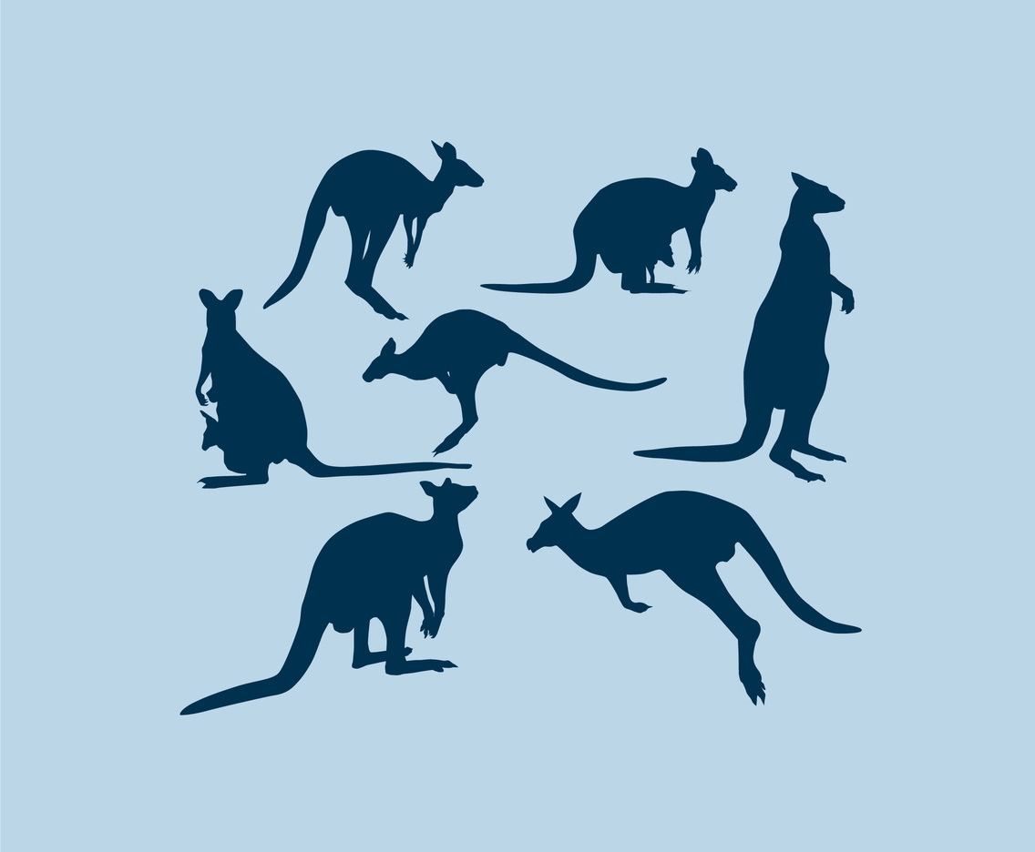 1136x936 Kangaroo Silhouette Vector Vector Art Graphics