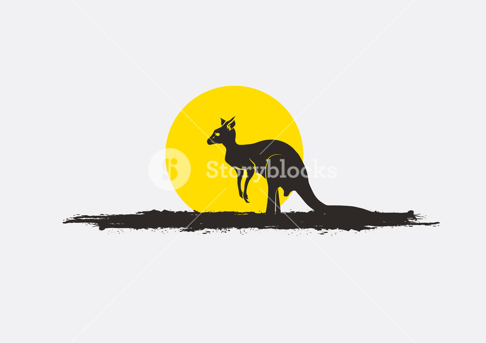 1000x707 Kangaroo Silhouette In Sunset Vector Royalty Free Stock Image
