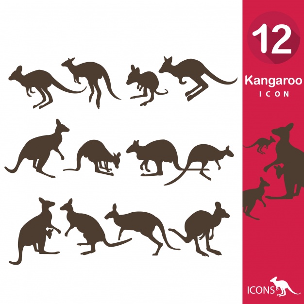 626x626 Kangaroo Vectors, Photos And Free Download