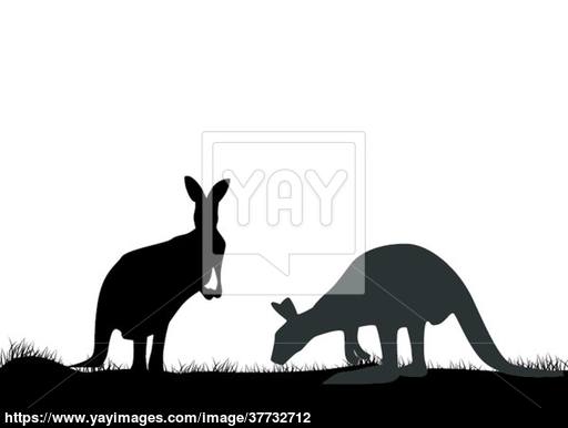 512x386 Kangaroo Silhouette Vector