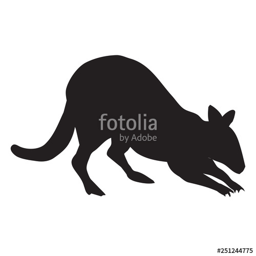 500x500 Kangaroo Silhouette Vector Illustration Clip Art Stock Image