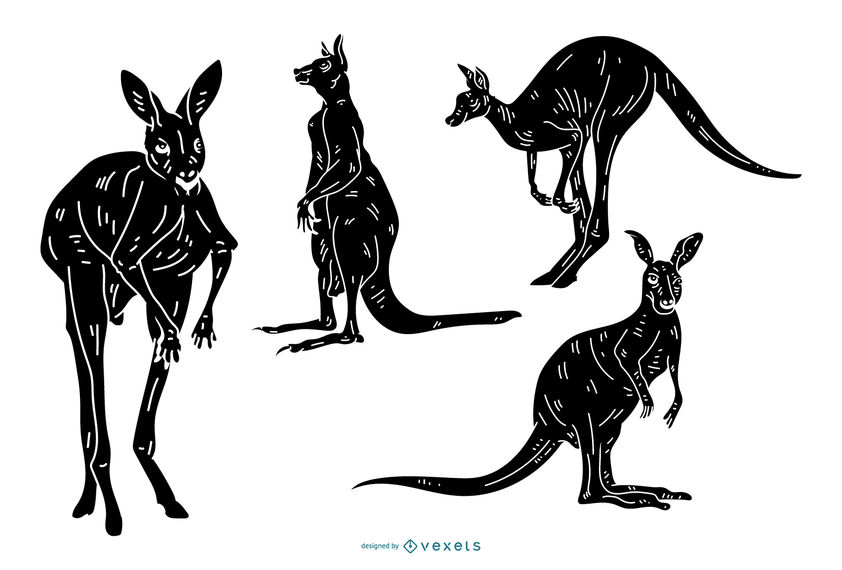 842x570 Detailed Kangaroo Silhouette Set