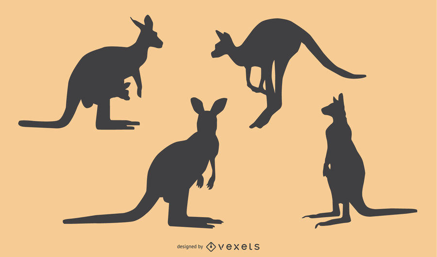 900x529 Kangaroo Silhouette Design