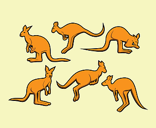 Kangaroo Vector