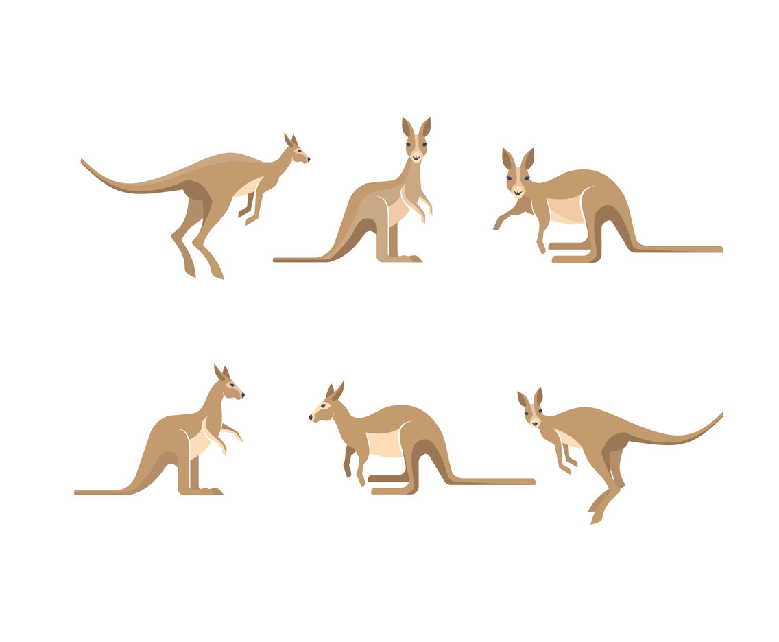 1136x936 Isolated Kangaroo Vector Vector Art Graphics
