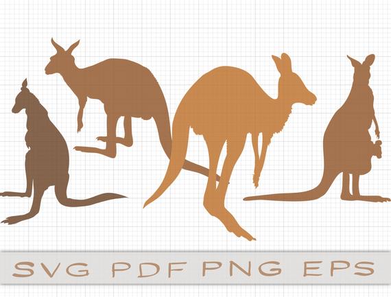 570x433 Kangaroo Kangaroo Silhouette Kangaroo Clipart Funny Etsy