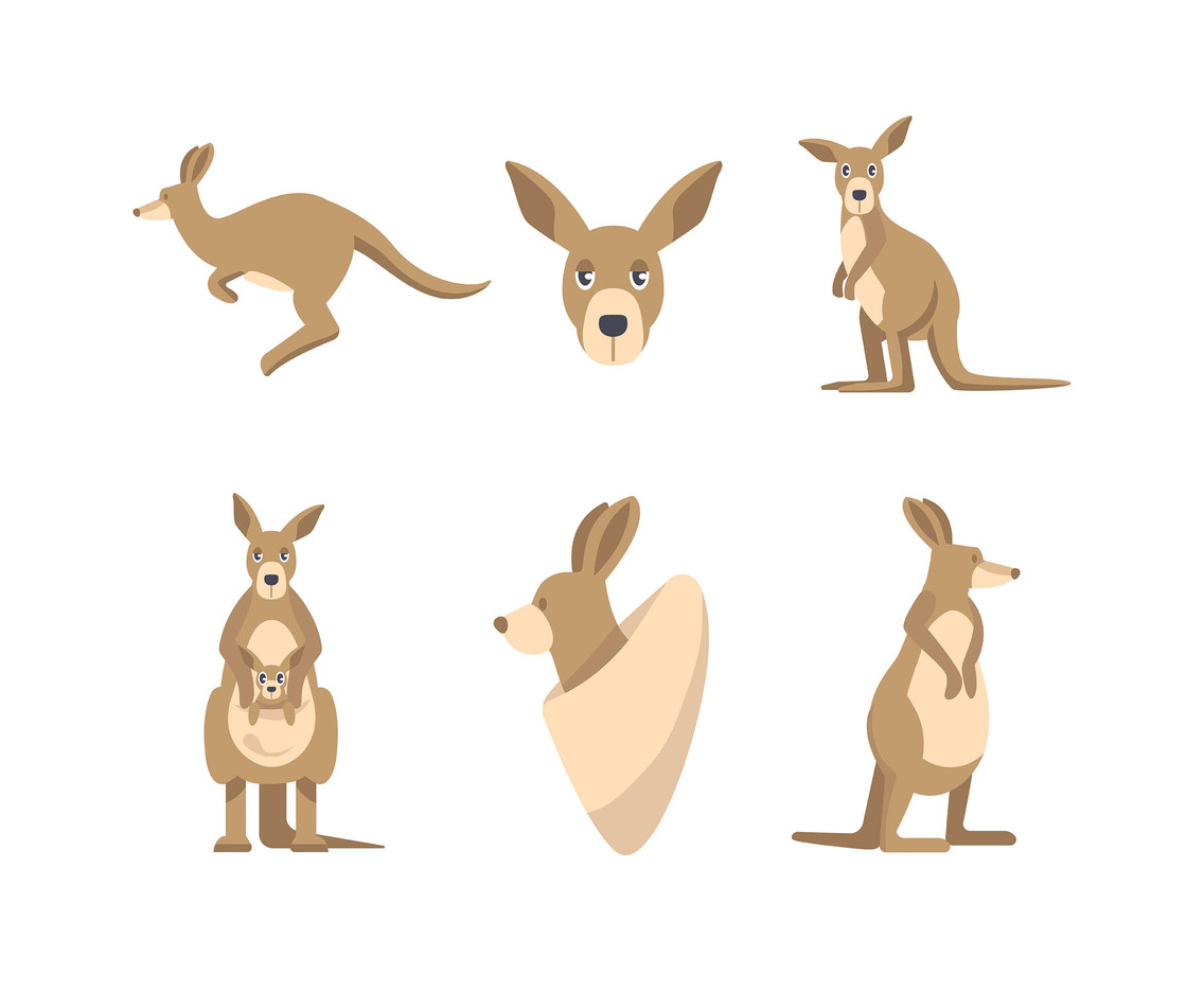 1136x936 Kangaroo Vector Vector Art Graphics
