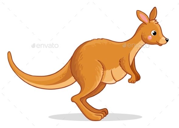 590x422 Vector Illustration With A Kangaroo Vector Illustration