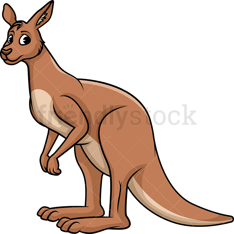 798x796 Wild Kangaroo Cartoon Clipart Vector