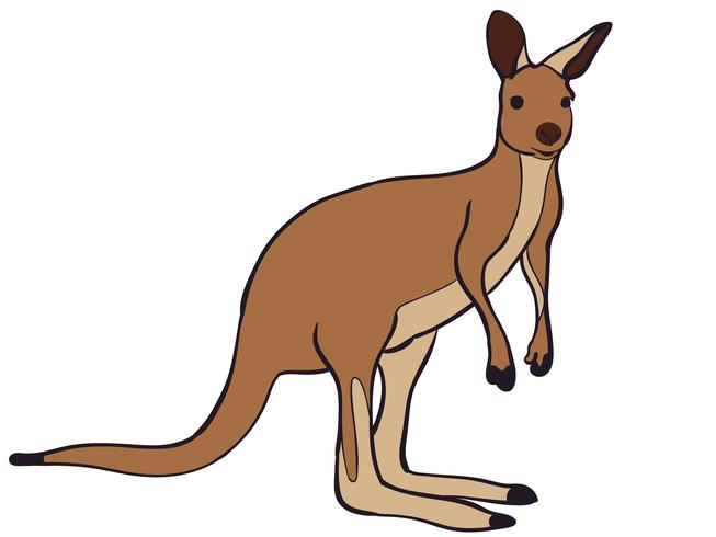 Kangaroo Vector at Vectorified.com | Collection of Kangaroo Vector free ...