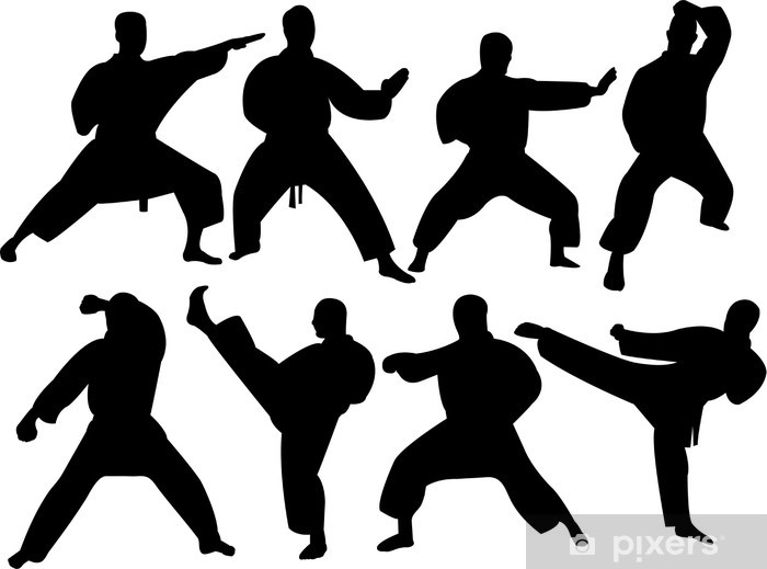 Karate Silhouette Collection 700x519 Karate Silhouette Collection