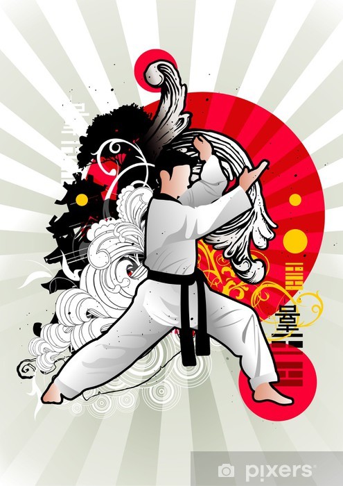 495x700 Karate Vector Wall Mural