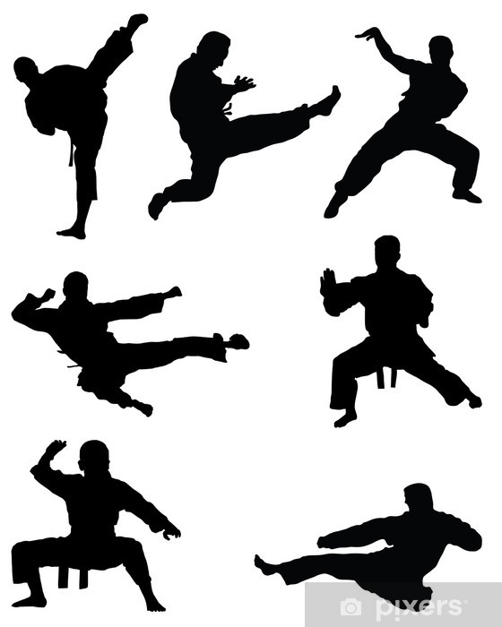 560x700 Black Silhouettes Of Karate, Vector Sticker