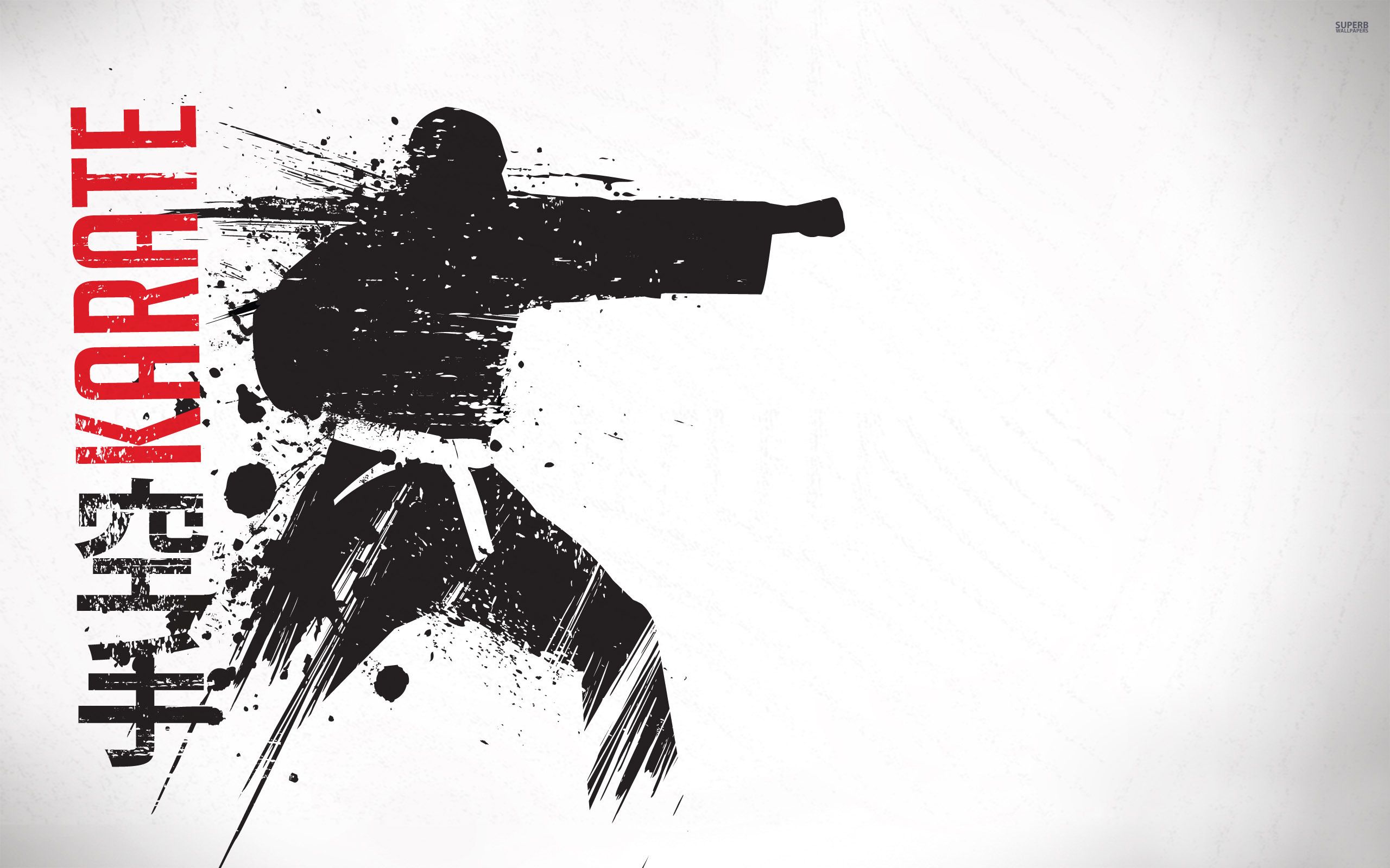 2560x1600 Karate Vector