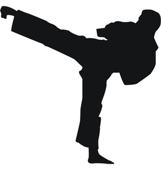 Karate Vector at Vectorified.com | Collection of Karate Vector free for ...