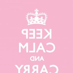 300x300 Keep Calm Carry On Pink Vector Wallkeeper