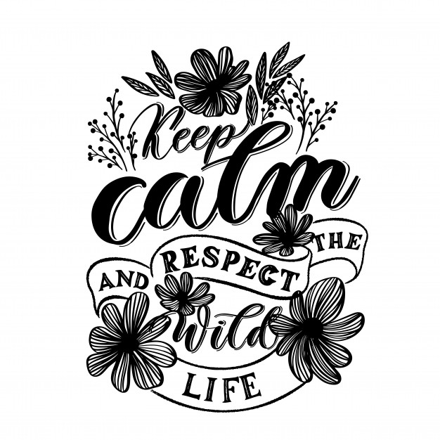 626x626 Keep Calm And Respect The Wildlife Vector Premium Download