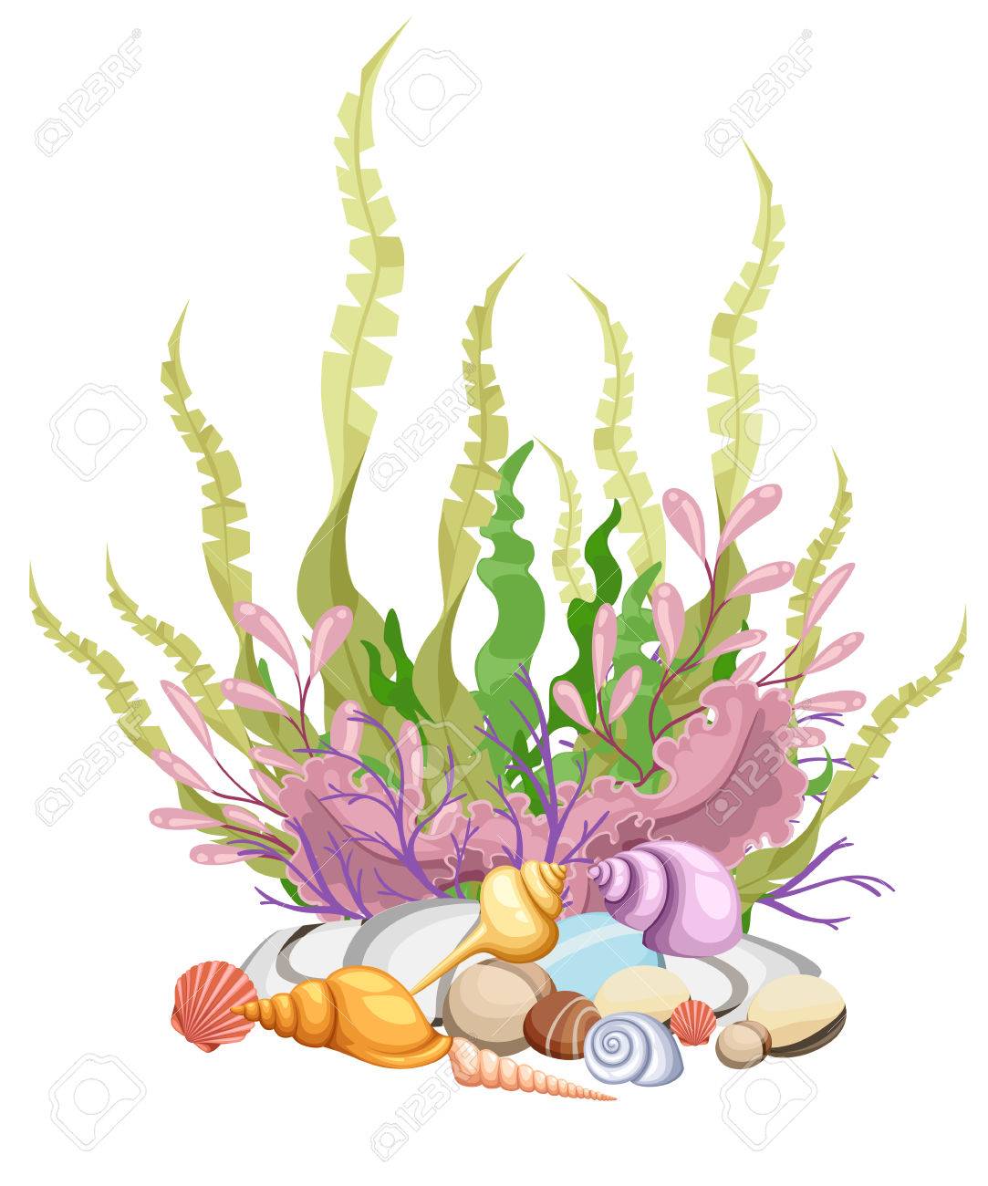 1083x1300 Cliparts For Free Download Algae Clipart Giant Kelp And Use