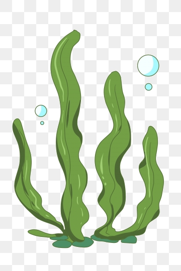 360x540 Kelp Png, Vector, And Clipart With Transparent Background