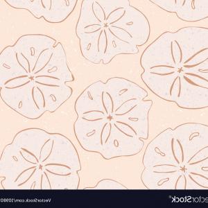 300x300 Kelp Seaweed With Sand Dollar Vector Hoodamath