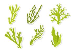 286x200 Seaweed Free Vector Art