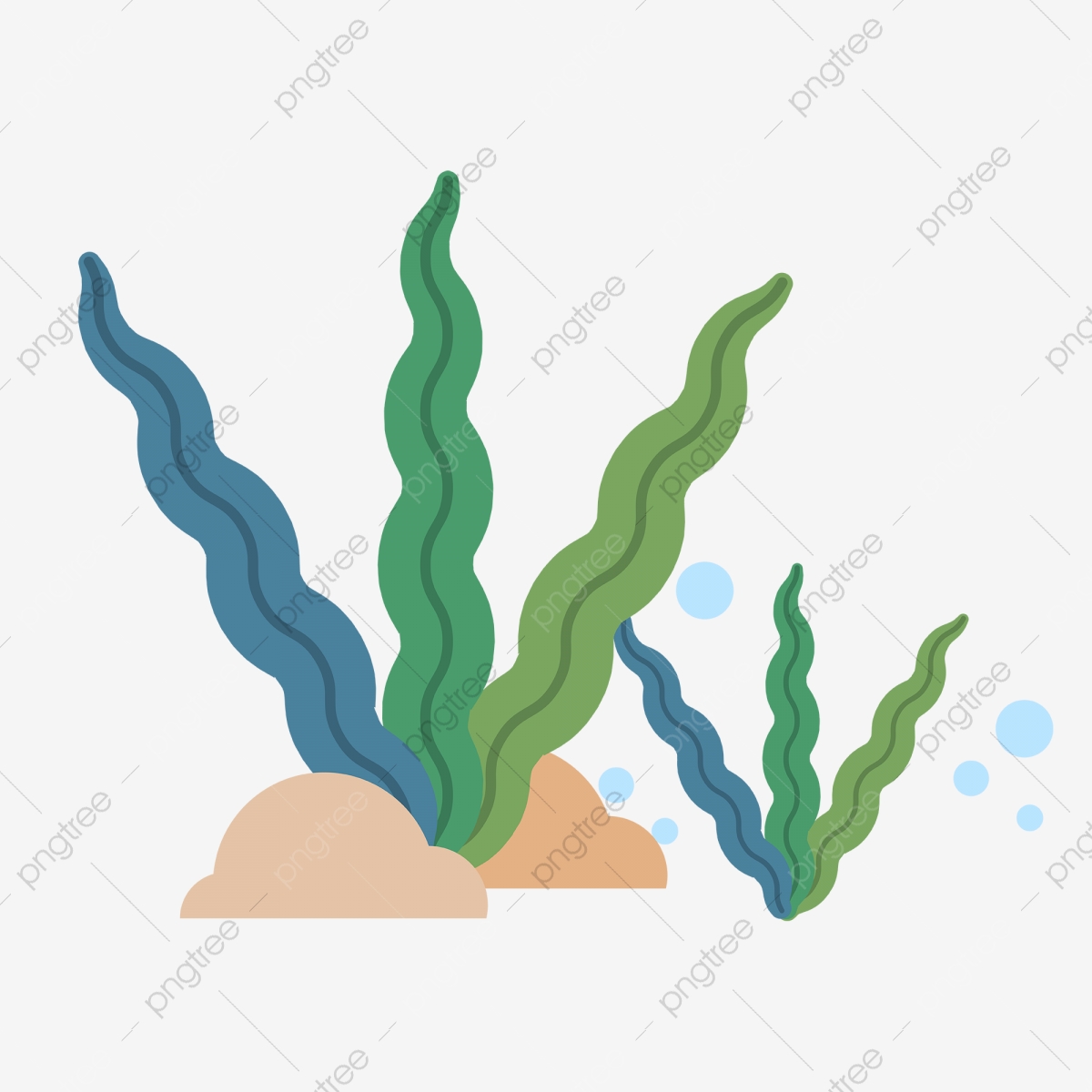 Kelp Vector at Vectorified.com | Collection of Kelp Vector free for ...