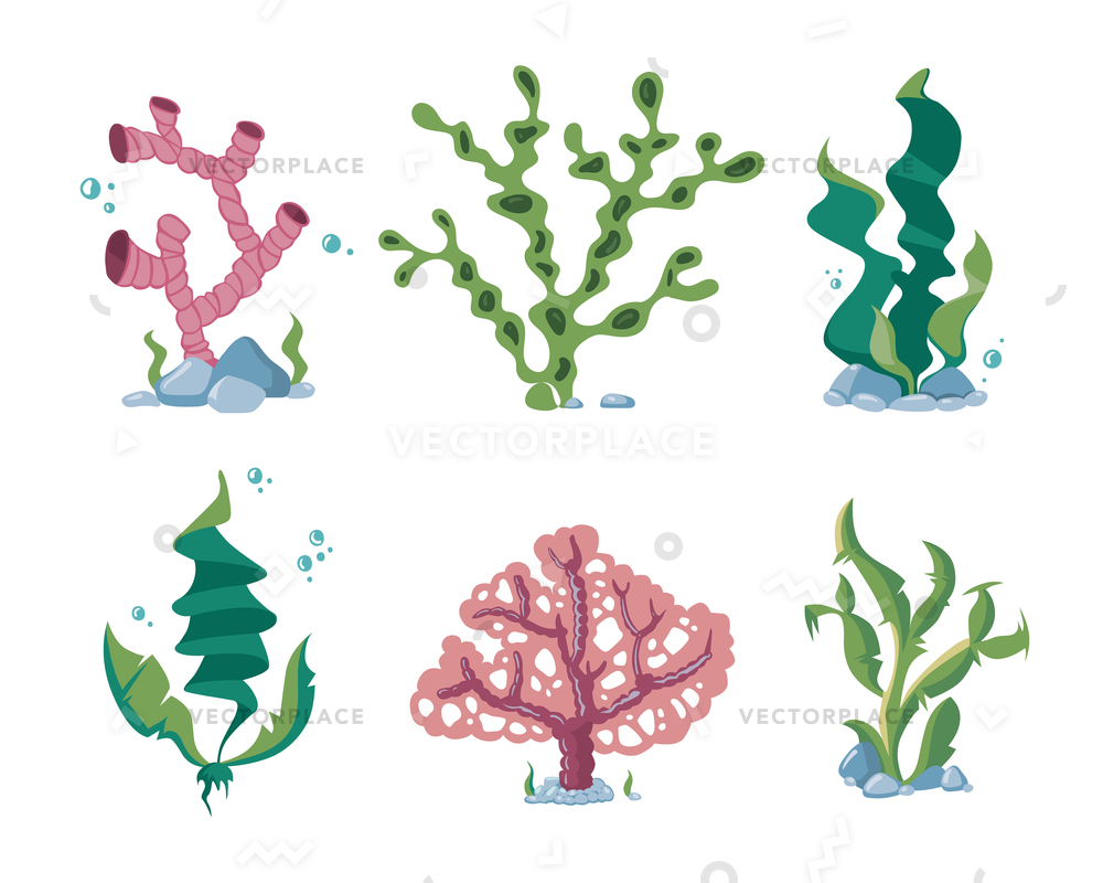 1000x800 Underwater Seaweeds Aqua Kelp Ocean Aquarium Vector Illustration