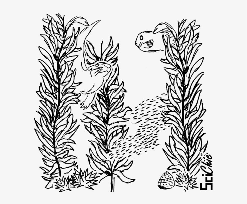 820x680 Vector Library Download Collection Of Free Art Drawing