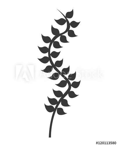 406x500 Kelp Plant Isolated Icon Vector Illustration Design