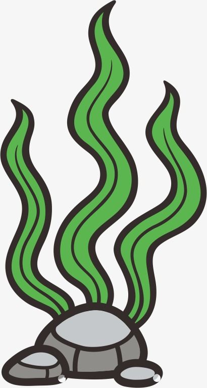 410x768 Cartoon Seaweed Coral Seaweed Di