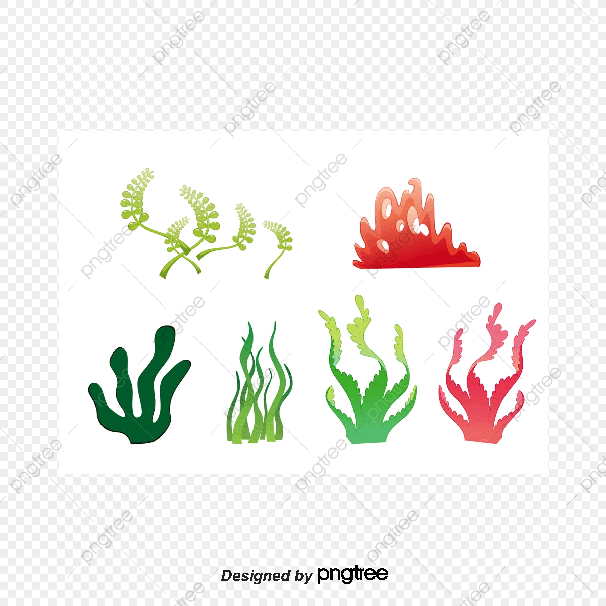 1200x1200 Green Seaweed Kelp Vegetative Plants, Green, Seaweed, Kelp Png