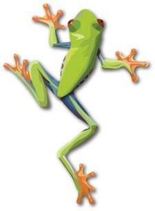 225x306 Free Vector Frog Pets Vector Free, Frog Outline, Clip Art