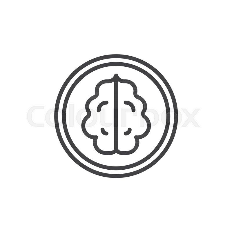 800x800 Walnut Kernel Outline Icon Linear Stock Vector Colourbox