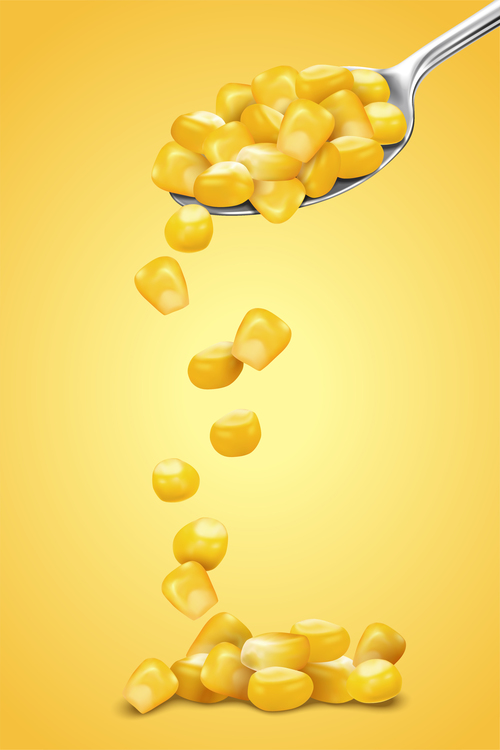 500x750 Corn Kernels Vector Illustration Free Download